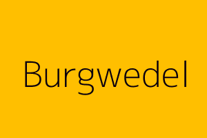 LKW export Autos Ankauf in Burgwedel