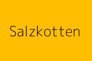 LKW export Autos Ankauf in Salzkotten