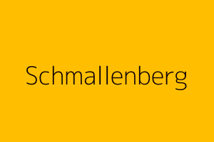 LKW export Autos Ankauf in Schmallenberg